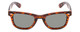 Front View of Coyote Nomad Unisex Full Rim Designer Polarized Sunglasses in Tortoise/G15 49 mm