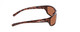 Side View of Coyote P-42 Unisex Full Rim Designer Polarized Sunglasses in Tortoise/Brown 63mm