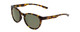 Profile View of Smith Eastbank Round Sunglasses Tortoise Brown Gold/CP Polarized Gray Green 52mm
