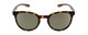 Front View of Smith Eastbank Round Sunglasses Tortoise Brown Gold/CP Polarized Gray Green 52mm