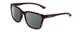 Profile View of Smith Optics Shoutout Designer Polarized Reading Sunglasses with Custom Cut Powered Smoke Grey Lenses in Matte Tortoise Havana Brown Gold Unisex Retro Full Rim Acetate 57 mm