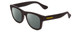 Profile View of Havaianas PARATY/M Designer Polarized Reading Sunglasses with Custom Cut Powered Smoke Grey Lenses in Matte Black Unisex Classic Full Rim Acetate 50 mm
