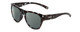 Profile View of Smith Optics Rockaway Designer Polarized Sunglasses with Custom Cut Smoke Grey Lenses in Sky Tortoise Havana Marble Brown Ladies Cateye Full Rim Acetate 52 mm