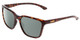Profile View of Smith Optics Shoutout Designer Polarized Sunglasses with Custom Cut Smoke Grey Lenses in Tortoise Havana Gold Unisex Retro Full Rim Acetate 57 mm
