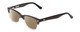 Profile View of Ernest Hemingway H4606 Designer Polarized Reading Sunglasses with Custom Cut Powered Amber Brown Lenses in Shiny Black Clear 2 Tone Unisex Cateye Full Rim Acetate 51 mm
