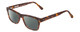 Profile View of Ernest Hemingway H4665 Designer Polarized Sunglasses with Custom Cut Smoke Grey Lenses in Matte Tortoise Havana Brown Yellow Unisex Cateye Full Rim Acetate 53 mm