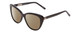Profile View of Ernest Hemingway H4735 Designer Polarized Reading Sunglasses with Custom Cut Powered Amber Brown Lenses in Gloss Black Ladies Cateye Full Rim Acetate 54 mm