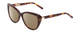 Profile View of Ernest Hemingway H4735 Designer Polarized Sunglasses with Custom Cut Amber Brown Lenses in Gloss Tortoise Havana Brown Yellow Gold Ladies Cateye Full Rim Acetate 54 mm