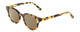 Profile View of Ernest Hemingway H4739 Designer Polarized Sunglasses with Custom Cut Amber Brown Lenses in Antique Yellow Brown Gold Tortoise Havana Unisex Cateye Full Rim Acetate 53 mm