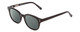 Profile View of Ernest Hemingway H4739 Designer Polarized Reading Sunglasses with Custom Cut Powered Smoke Grey Lenses in Gloss Black Unisex Cateye Full Rim Acetate 53 mm