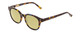 Profile View of Ernest Hemingway H4739 Designer Polarized Reading Sunglasses with Custom Cut Powered Sun Flower Yellow Lenses in Gloss Blue Gold Brown Tortoise Havana Unisex Cateye Full Rim Acetate 53 mm