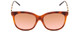 Front View of GUCCI GG0655SA-003 Women Cateye Sunglasses Havana Tortoise Brown Gold/Brown 56mm