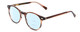Profile View of Ernest Hemingway H4908 Designer Progressive Lens Blue Light Blocking Eyeglasses in Brown Amber Crystal Unisex Round Full Rim Acetate 49 mm