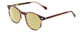 Profile View of Ernest Hemingway H4908 Designer Polarized Reading Sunglasses with Custom Cut Powered Sun Flower Yellow Lenses in Brown Amber Crystal Unisex Round Full Rim Acetate 49 mm