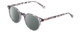 Profile View of Ernest Hemingway H4908 Designer Polarized Sunglasses with Custom Cut Smoke Grey Lenses in Grey Crystal Smoke Marble Unisex Round Full Rim Acetate 49 mm