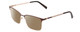 Profile View of Ernest Hemingway H4909 Designer Polarized Reading Sunglasses with Custom Cut Powered Amber Brown Lenses in Brown/Gold Unisex Rectangle Full Rim Metal 55 mm