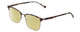 Profile View of Ernest Hemingway H4904 Designer Polarized Reading Sunglasses with Custom Cut Powered Sun Flower Yellow Lenses in Matte Grey Tortoise Havana/Gun Metal Unisex Cateye Full Rim Acetate 55 mm
