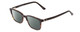 Profile View of Ernest Hemingway H4811 Designer Polarized Reading Sunglasses with Custom Cut Powered Smoke Grey Lenses in Gloss Black/Auburn Brown Yellow Tortoise Havana Layered Unisex Cateye Full Rim Acetate 53 mm