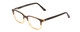 Profile View of Ernest Hemingway H4811 Designer Blue Light Blocking Eyeglasses in Brown/Light Beige Clear Mist Layered Unisex Cateye Full Rim Acetate 53 mm
