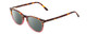Profile View of Ernest Hemingway H4812 Designer Polarized Reading Sunglasses with Custom Cut Powered Smoke Grey Lenses in Brown Yellow Tortoise Havana/Rose Red Crystal Fade Ladies Round Full Rim Acetate 49 mm
