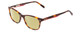 Profile View of Ernest Hemingway H4815 Designer Polarized Reading Sunglasses with Custom Cut Powered Sun Flower Yellow Lenses in Amber Brown Tortoise Havana Ladies Cateye Full Rim Acetate 52 mm
