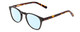 Profile View of Ernest Hemingway H4829 Designer Blue Light Blocking Eyeglasses in Gloss Black/Auburn Brown Yellow Tortoise Havana Layered Unisex Round Full Rim Acetate 48 mm