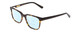 Profile View of Ernest Hemingway H4831 Designer Progressive Lens Blue Light Blocking Eyeglasses in Brown Yellow Tortoise Havana/Gloss Black Unisex Rectangle Full Rim Acetate 50 mm