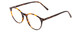 Profile View of Ernest Hemingway H4835 Designer Blue Light Blocking Eyeglasses in Auburn Brown Yellow Tortoise Havana Ladies Round Full Rim Acetate 50 mm