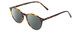 Profile View of Ernest Hemingway H4835 Designer Polarized Reading Sunglasses with Custom Cut Powered Smoke Grey Lenses in Auburn Brown Yellow Tortoise Havana Ladies Round Full Rim Acetate 50 mm