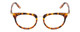 Front View of Ernest Hemingway H4838 Designer Reading Eye Glasses with Custom Cut Powered Lenses in Aurburn Brown Yellow Tortoise Havana/Gold Accents Ladies Cateye Full Rim Acetate 49 mm