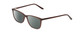 Profile View of Ernest Hemingway H4848 Designer Polarized Sunglasses with Custom Cut Smoke Grey Lenses in Matte/Gloss Auburn Brown Unisex Cateye Full Rim Acetate 54 mm