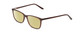 Profile View of Ernest Hemingway H4848 Designer Polarized Reading Sunglasses with Custom Cut Powered Sun Flower Yellow Lenses in Matte/Gloss Auburn Brown Unisex Cateye Full Rim Acetate 54 mm