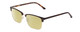Profile View of Ernest Hemingway H4850 Designer Polarized Reading Sunglasses with Custom Cut Powered Sun Flower Yellow Lenses in Brown Auburn Tortoise Havana Gold Unisex Cateye Full Rim Acetate 58 mm