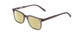 Profile View of Ernest Hemingway H4854 Designer Polarized Reading Sunglasses with Custom Cut Powered Sun Flower Yellow Lenses in Grey Smoke Crystal  Unisex Cateye Full Rim Acetate 51 mm