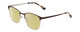Profile View of Ernest Hemingway H4862 Designer Polarized Reading Sunglasses with Custom Cut Powered Sun Flower Yellow Lenses in Satin Brown/Silver Geometric Pattern Unisex Cateye Full Rim Stainless Steel 52 mm