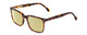 Profile View of Ernest Hemingway H4866 Designer Polarized Reading Sunglasses with Custom Cut Powered Sun Flower Yellow Lenses in Brown Amber Tortoise/Silver Accent Unisex Cateye Full Rim Acetate 51 mm
