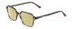 Profile View of Ernest Hemingway H4872 Designer Polarized Reading Sunglasses with Custom Cut Powered Sun Flower Yellow Lenses in Smoke Grey Crystal Tortoise Havana/Silver Accent Unisex Square Full Rim Acetate 50 mm