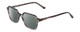 Profile View of Ernest Hemingway H4872 Designer Polarized Reading Sunglasses with Custom Cut Powered Smoke Grey Lenses in Smoke Grey Crystal Tortoise Havana/Silver Accent Unisex Square Full Rim Acetate 50 mm