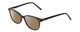 Profile View of Ernest Hemingway H4876 Designer Polarized Sunglasses with Custom Cut Amber Brown Lenses in Gloss Black/Silver Accents Unisex Cateye Full Rim Acetate 53 mm
