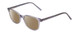 Profile View of Ernest Hemingway H4876 Designer Polarized Reading Sunglasses with Custom Cut Powered Amber Brown Lenses in Light Grey Crystal/Silver Accents Unisex Cateye Full Rim Acetate 53 mm