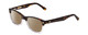 Profile View of Ernest Hemingway H4906 Designer Polarized Reading Sunglasses with Custom Cut Powered Amber Brown Lenses in Auburn Brown Tortoise Havana Clear Crystal 2 Tone/Gold Studs Unisex Cateye Full Rim Acetate 51 mm