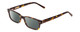 Profile View of Ernest Hemingway H4910 Designer Polarized Sunglasses with Custom Cut Smoke Grey Lenses in Gloss Amber Brown Tortoise Havana/Gold Accents Unisex Rectangle Full Rim Acetate 51 mm