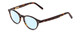 Profile View of Ernest Hemingway H4912 Designer Blue Light Blocking Eyeglasses in Amber Brown Leopard Animal Print/Silver Accents Unisex Round Full Rim Acetate 47 mm