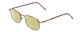 Profile View of Flex Collection 60 Designer Polarized Reading Sunglasses with Custom Cut Powered Sun Flower Yellow Lenses in Antique Gold/Demi Tortoise Havana Amber Ladies Round Full Rim Metal 51 mm