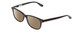 Profile View of Ernest Hemingway H4617 Designer Polarized Sunglasses with Custom Cut Amber Brown Lenses in Shiny Black Unisex Cateye Full Rim Acetate 56 mm