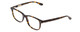 Profile View of Ernest Hemingway H4617 Unisex Cateye Reading Glasses in Tortoise Brown Gold 56mm