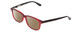 Profile View of Ernest Hemingway H4617 Designer Polarized Sunglasses with Custom Cut Amber Brown Lenses in Shiny Red Crystal Black Unisex Cateye Full Rim Acetate 56 mm