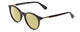Profile View of Kate Spade DRYSTALEE Designer Polarized Reading Sunglasses with Custom Cut Powered Sun Flower Yellow Lenses in Black Gold Ladies Round Full Rim Acetate 50 mm