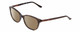 Profile View of Harley Davidson HD0523 Designer Polarized Sunglasses with Custom Cut Amber Brown Lenses in Tortoise Havana Gold Brown Ladies Classic Full Rim Acetate 52 mm