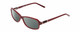 Profile View of Harley Davidson HD0537 Designer Polarized Reading Sunglasses with Custom Cut Powered Smoke Grey Lenses in Burgundy Red Ladies Oval Full Rim Acetate 54 mm